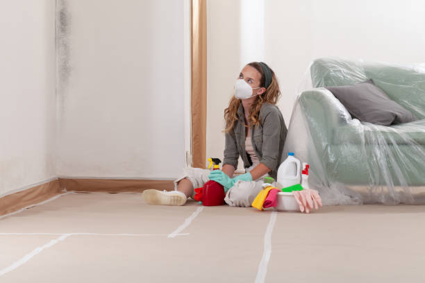 Reliable Mold Remediation contractor in Everett, WA by Mold Remediation HQ